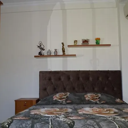 Apartment Shoshi *