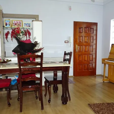 Apartment Shoshi *