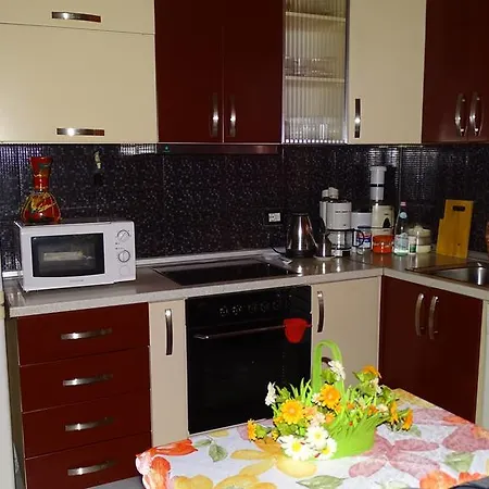Apartment Shoshi Tirana