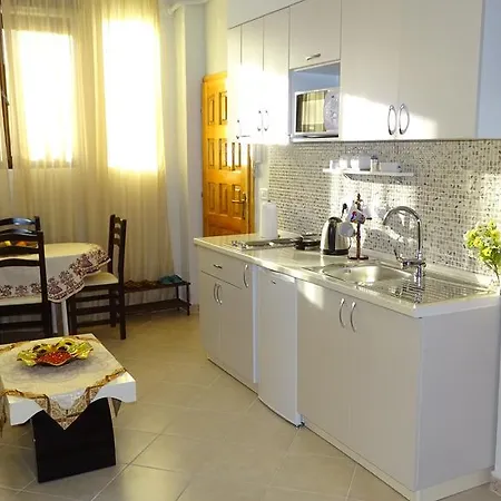 Shoshi * Тирана